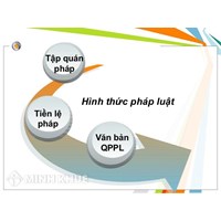 Áp dụng tập quán pháp trong pháp luật Việt Nam thực hiện thế nào ?