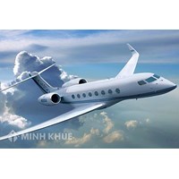 Quốc tịch của tàu bay là gì ? Quy định về quốc tịch tàu bay
