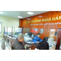 Quỹ tín dụng nhân dân là gì? Phân loại, đặc điểm quỹ tín dụng nhân dân