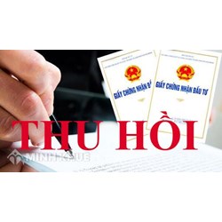 Quyết định là gì? Thẩm quyền ban hành, nội dung của quyết định