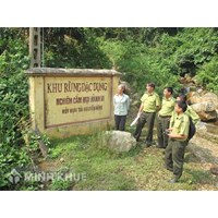 Rừng đặc dụng là gì? Quy định pháp luật về rừng đặc dụng