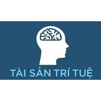 Tài sản trí tuệ là gì? Ví dụ và đặc điểm của tài sản trí tuệ?