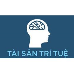 Tài sản trí tuệ là gì? Ví dụ và đặc điểm của tài sản trí tuệ?