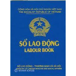 Sổ lao động là gì? Phân tích đặc điểm của sổ lao động