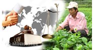 Sở hữu toàn dân về đất đai là gì? Chế độ sở hữu toàn dân về đất đai là gì?