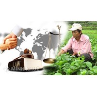 Sở hữu toàn dân về đất đai là gì? Chế độ sở hữu toàn dân về đất đai là gì?