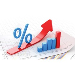 Tín dụng đầu tư phát triển là gì ? Quy định về tín dụng đầu tư phát triển