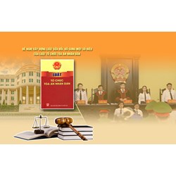 Tòa án là gì? Chức năng, nhiệm vụ, quyền hạn của toà án?