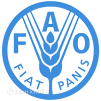 Tổ chức Lương thực và Nông nghiệp Liên Hiệp Quốc (FAO) là gì? Tìm hiểu về Tổ chức Lương thực và Nông nghiệp Liên Hiệp Quốc?