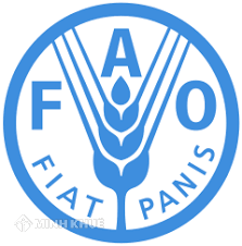 Tổ chức Lương thực và Nông nghiệp Liên Hiệp Quốc (FAO) là gì? Tìm hiểu về Tổ chức Lương thực và Nông nghiệp Liên Hiệp Quốc?