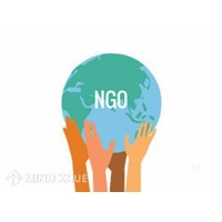 Tổ chức phi chính phủ (NGO) là gì? Đặc điểm tổ chức phi chính phủ