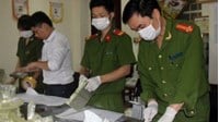Trưng cầu giám định là gì? Trưng cầu giám định trong tố tụng hình sự