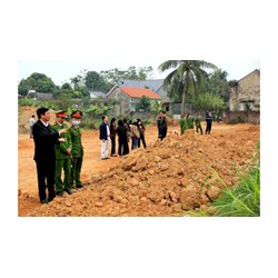 Quy định về trưng dụng đất theo Luật đất đai 2024
