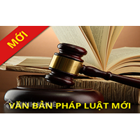 Văn bản áp dụng pháp luật là gì? Ví dụ văn bản áp dụng pháp luật