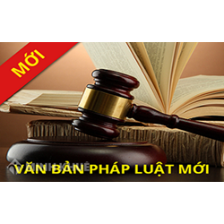 Văn bản áp dụng pháp luật là gì? Ví dụ văn bản áp dụng pháp luật