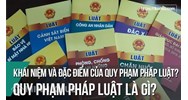 Văn bản pháp luật là gì? Đặc điểm, phân loại văn bản quy phạm pháp luật