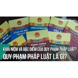 Văn bản pháp luật là gì? Đặc điểm, phân loại văn bản quy phạm pháp luật