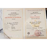 Văn bằng là gì? Quy định pháp luật về văn bằng