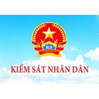 Viện trưởng Viện Kiểm sát nhân dân tối cao là gì ? Quy định về Viện trưởng VKSND tối cao