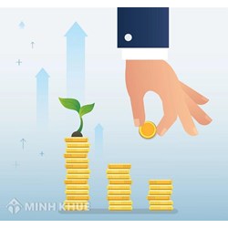 Vốn là gì? Đặc trưng, vai trò và phân loại vốn theo quy định?
