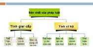 Phân tích tính giai cấp và tính xã hội của pháp luật?