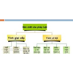 Phân tích tính giai cấp và tính xã hội của pháp luật?