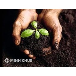 Một số ngành, nghề hạn chế đầu tư đối với nhà đầu tư nước ngoài theo quy định pháp luật Việt Nam