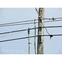 Xử lý hành vi trộm cắp điện như thế nào ? Mức phạt với tội trộm cắp tài sản