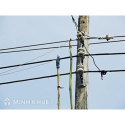 Xử lý hành vi trộm cắp điện như thế nào ? Mức phạt với tội trộm cắp tài sản