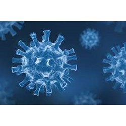 Decision No. 2174/QD-BYT dated June 08, 2015 of the Ministry of Health guiding the supervision and prevention/response against middle east respiratory syndrome coronavirus (MERS-COV)
