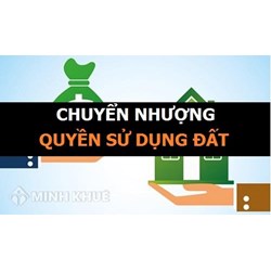 Xử lý tranh chấp khi chuyển nhượng quyền sử dụng đất ? Thủ tục chia lại đất khi có tranh chấp ?