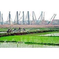 Truy thu thuế sử dụng đất nông nghiệp trong trường hợp được miễn thuế?