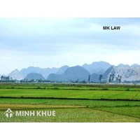 Tư vấn pháp về thu hồi đất nông nghiệp và bồi thường ? Có được mua lại phần đất đã bị thu hồi ?
