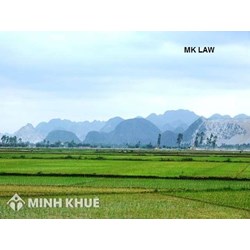 Tư vấn pháp về thu hồi đất nông nghiệp và bồi thường ? Có được mua lại phần đất đã bị thu hồi ?