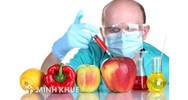 Vai trò của pháp luật trong việc bảo đảm an toàn thực phẩm ở Việt Nam hiện nay