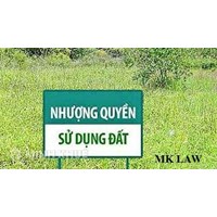 Tư vấn giúp em về chuyển nhượng quyền sử dụng đất trái phép