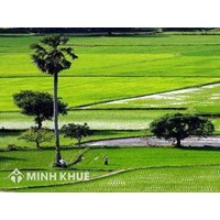 Có được ủy quyền để làm sổ Đỏ? Lệ phí cấp sổ sổ đỏ mới nhất