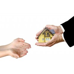 Tư vấn về việc đòi lại đất do chị tự ý đứng tên?
