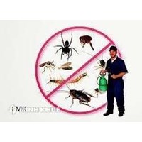  Thủ tục pháp lý để thành lập công ty diệt côn trùng ? Điều kiện mở công ty sản xuất thuốc ?