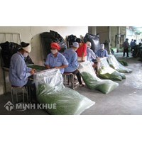 Hợp tác xã chuyển đổi thành công ty cổ phần ? Quy định về sáng lập viên của hợp tác xã ?