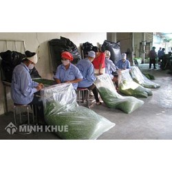 Hợp tác xã chuyển đổi thành công ty cổ phần ? Quy định về sáng lập viên của hợp tác xã ?