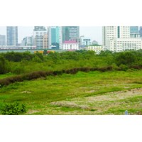 Mức bồi thường đất sử dụng từ năm 1980 nằm trong diện quy hoạch?