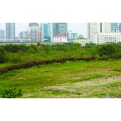 Mức bồi thường đất sử dụng từ năm 1980 nằm trong diện quy hoạch?