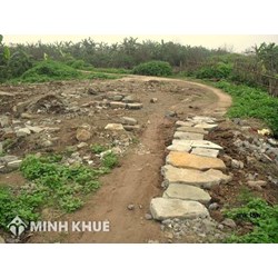 Chuyển từ đất nông nghiệp trồng cây hàng năm sang làm chuồng trại chăn nuôi ? Xử lý hành vi chăn nuôi làm ô nhiễm môi trường ?
