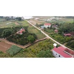 Thủ tục chuyển đổi đất trồng cây sang đất ở theo quy định mới nhất