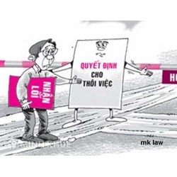 Cho thôi việc do thay đổi cơ cấu tổ chức và vì lý do kinh tế có vi phạm?
