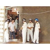 Tư vấn về thẩm quyền xử phạt của thanh tra xây dựng đối với Ban quản lí dự án?