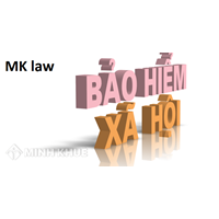 Luật sư tư vấn giải quyết vấn đề về sổ BHXH
