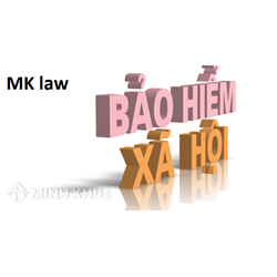 Luật sư tư vấn giải quyết vấn đề về sổ BHXH
