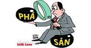 Trách nhiệm của thành viên khi công ty TNHH bị phá sản ? Có được mở công ty mới sau khi phá sản ?